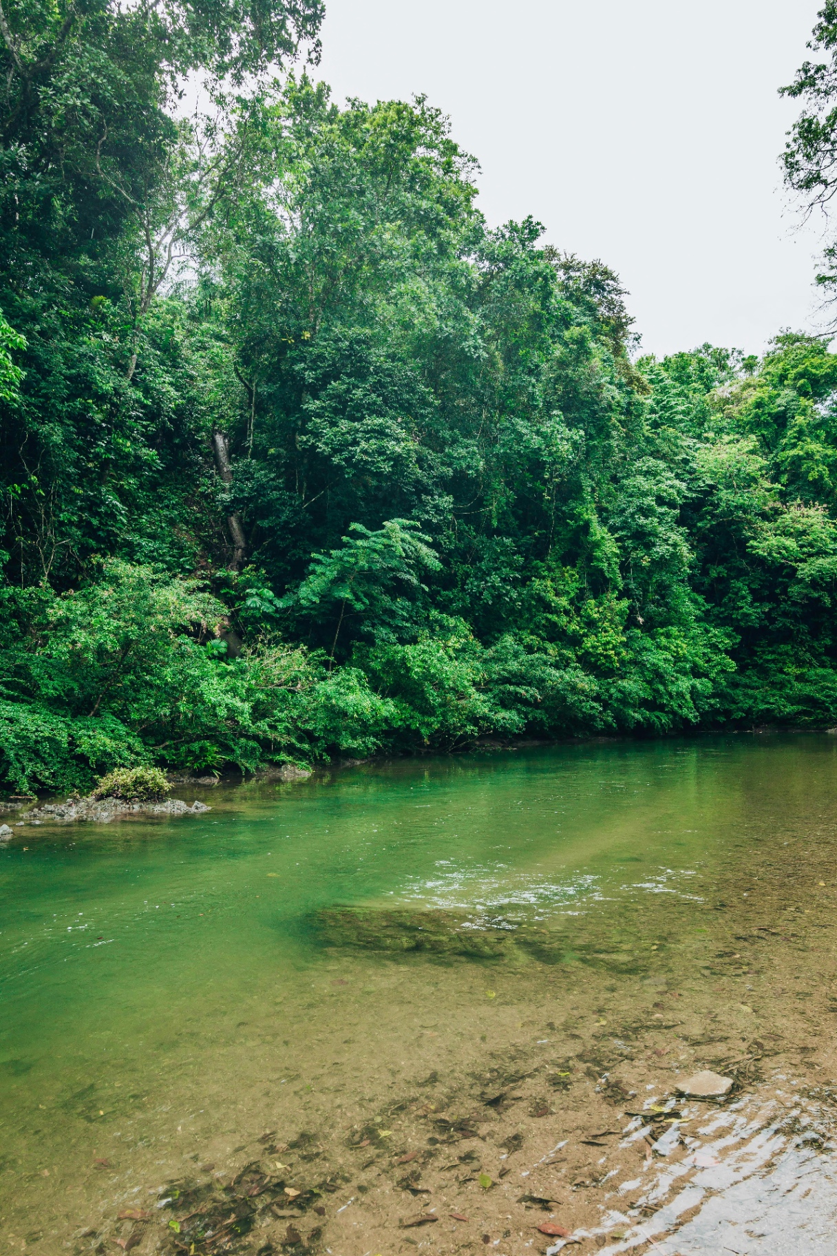 Guided Cockscomb Hike & River Tubing