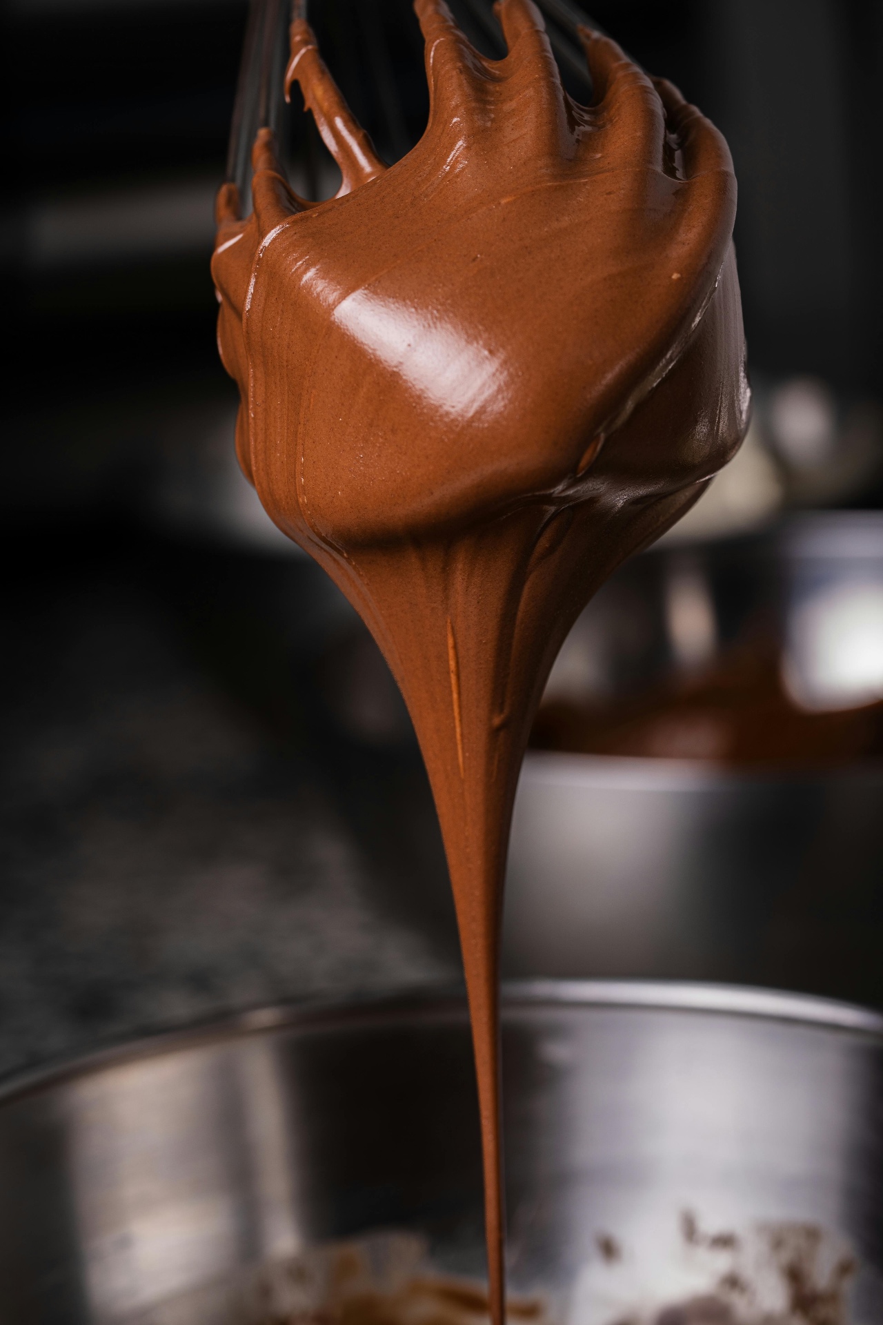 Jungle Horseback & Chocolate Making