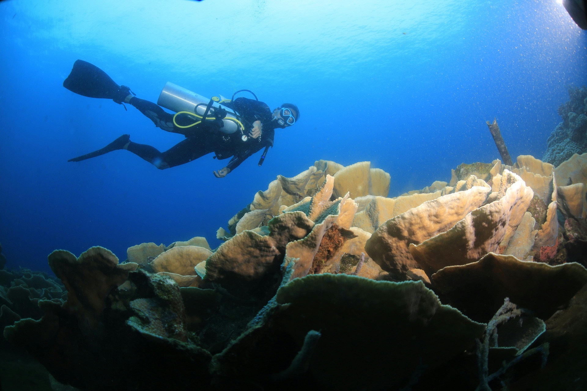 Seemore Adventures Dive Shop