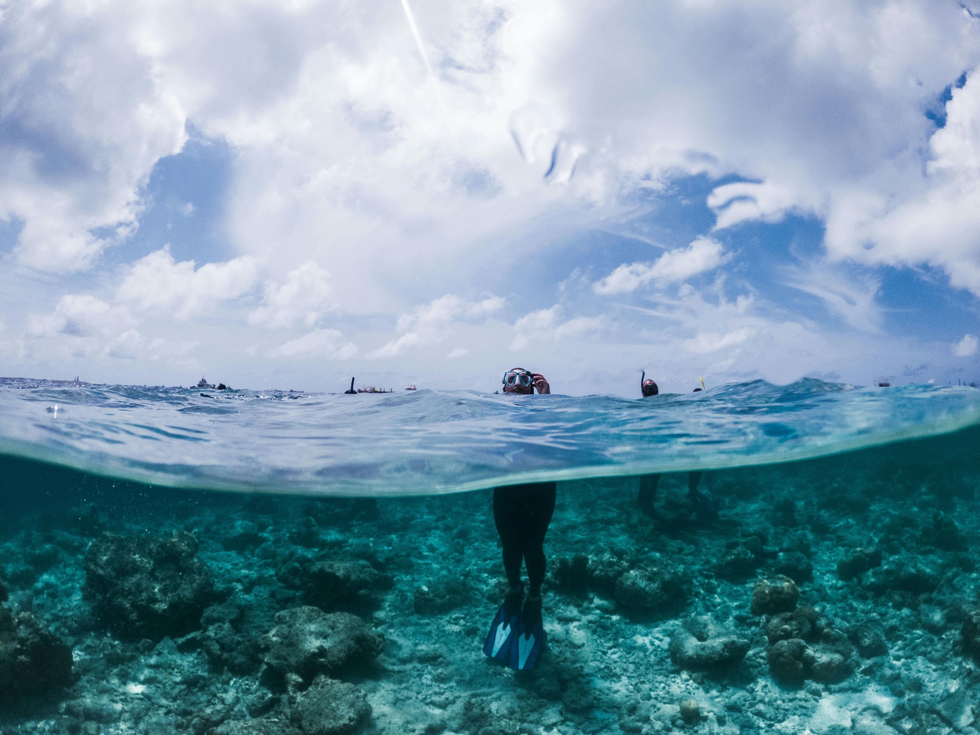 Snorkeling Tour