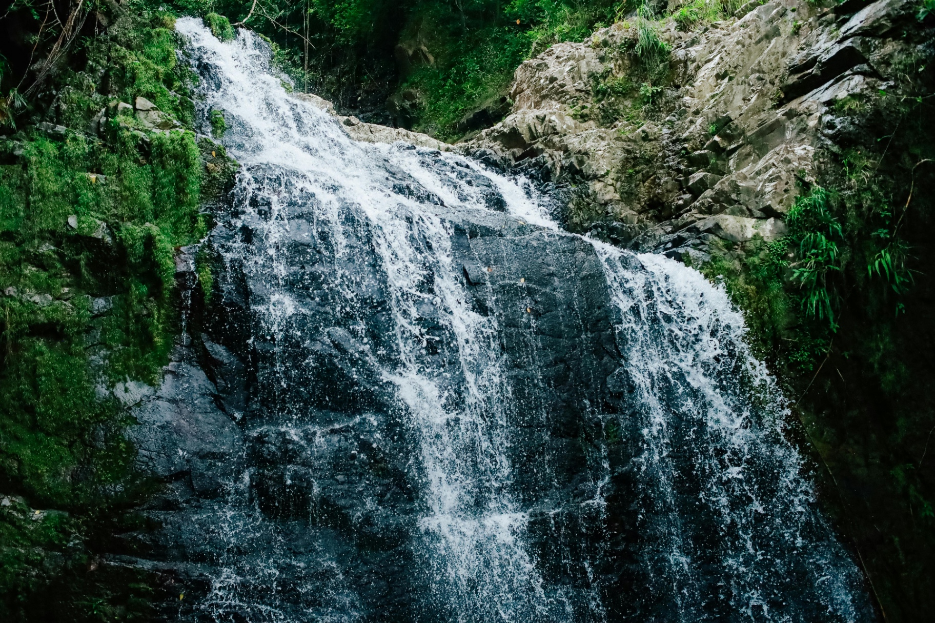 Waterfall Swimming at Maya King