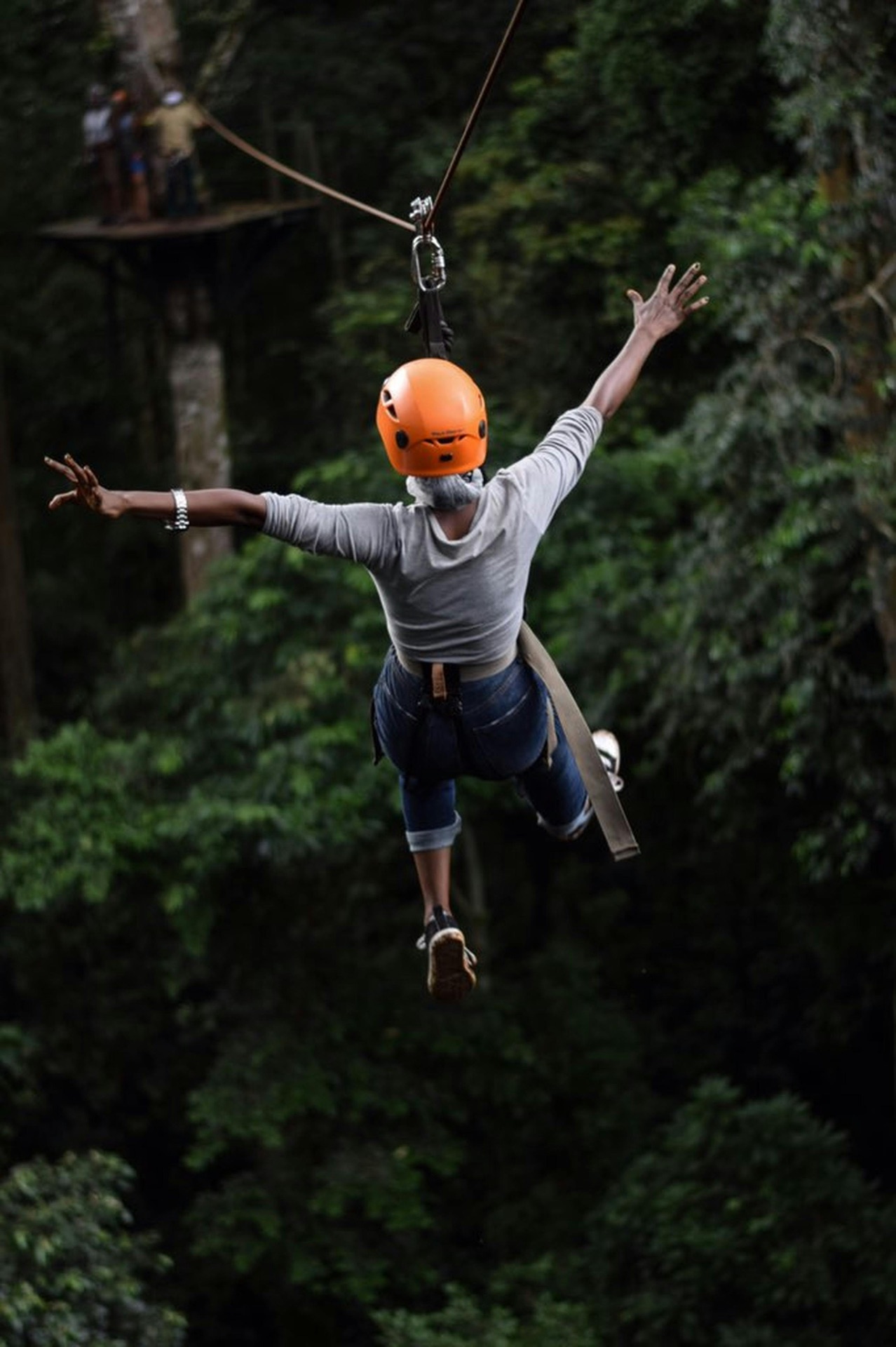 Jungle Zipline at Bocawina