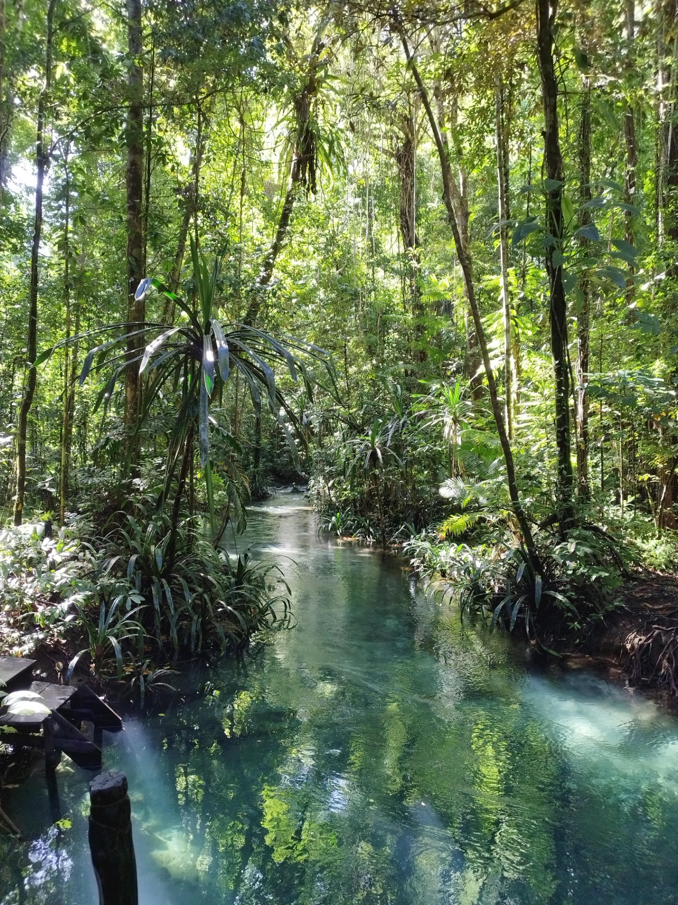 Zipline & Guided Waterfall Hike at Bocawina